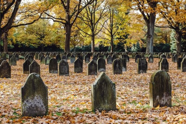 world-war-i-cemetery_181624-9208